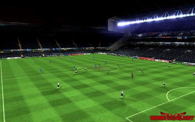 《FIFA 10》超清草皮补丁震撼预览+免费下载,体验极致视觉盛宴 《FIFA 10》超清草皮补丁震撼预览+免费下载,体验极致视觉盛宴