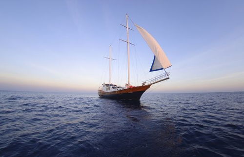 战帆舰船部件深度解析:解锁《骑马与砍杀2》航海新篇章 战帆舰船部件深度解析:解锁《骑马与砍杀2》航海新篇章