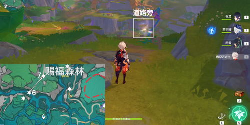 《原神》4.8版本赐福森林飞羽攻略：轻松收集技巧大揭秘