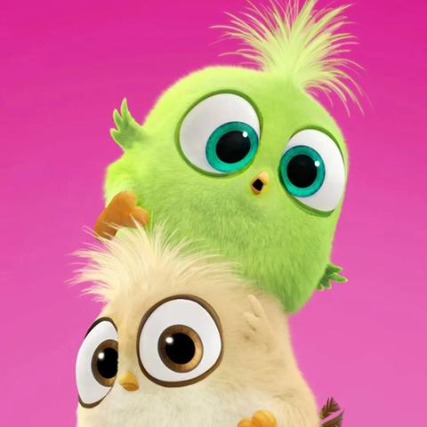 《愤怒的小鸟变形金刚》新版本揭秘:16号独家首曝! 《愤怒的小鸟变形金刚》新版本揭秘:16号独家首曝!