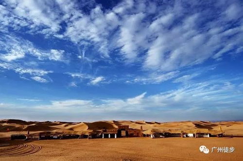 沙漠草原交汇地攻略:高效野区作战秘籍揭秘 沙漠草原交汇地攻略:高效野区作战秘籍揭秘