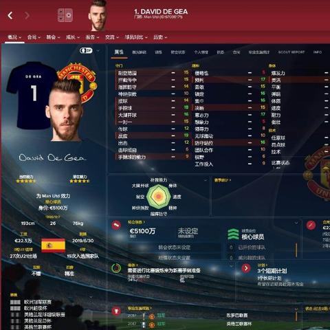 《FM2019》深度体验：揭秘足球经理新魅力，畅玩攻略大揭秘