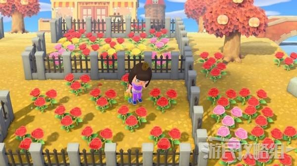 《动物森友会》岛橙蓝玫瑰自交攻略，轻松培育！