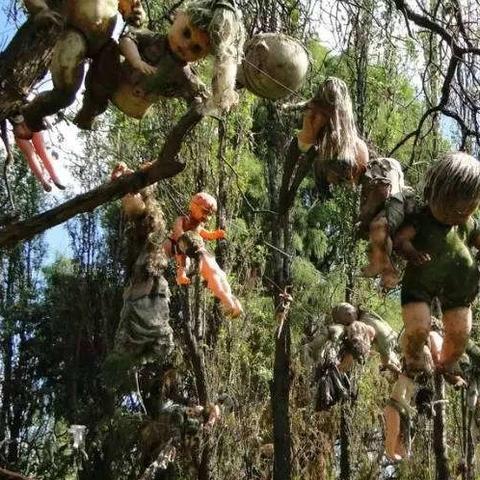 《死亡岛》生存指南:揭秘全新生存技巧,助你通关无忧 《死亡岛》生存指南:揭秘全新生存技巧,助你通关无忧