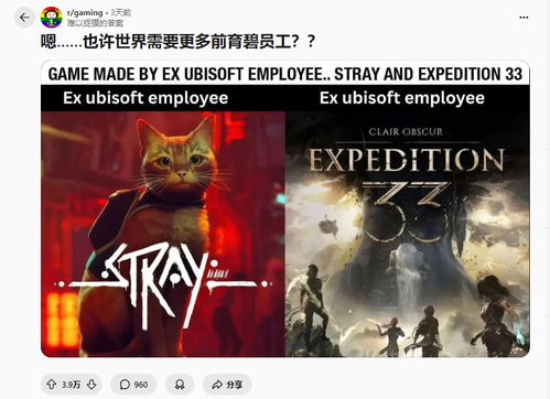 33号远征队好评如潮:不是哥们?