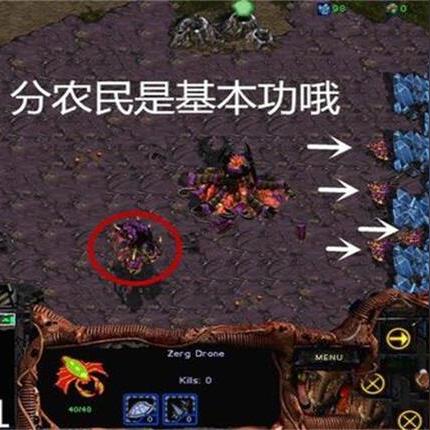 《星际争霸2》战网PvZ神族白金攻略：深度解析新战术，解锁白金之路