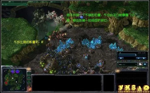 《星际争霸2》Beta战报：经典TvZ对决，揭秘新战术价值解析