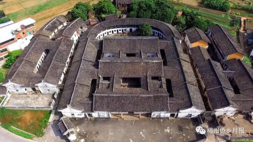 《心动小镇外围8大神秘巨树探秘》