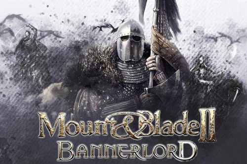 《骑马与砍杀2》实战攻略：深度解析战斗技巧与策略精髓