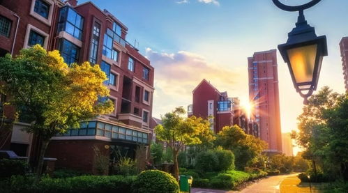 《多洛可小镇》兴居睦邻升级,共创和谐新篇章 《多洛可小镇》兴居睦邻升级,共创和谐新篇章