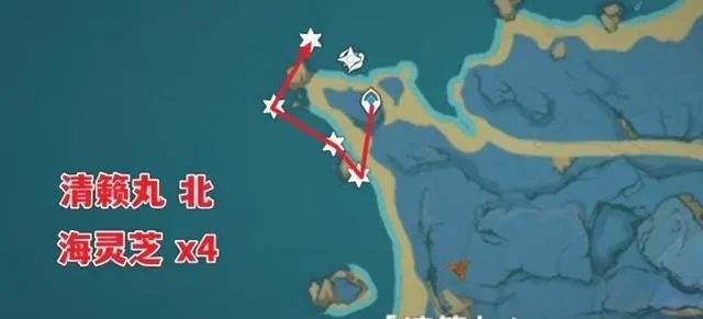 《原神》枫原万叶突破必备：海灵芝高效收集攻略！