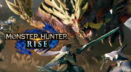 曙光连击毒双刀崛起秘配,打造怪物猎人巅峰战力 曙光连击毒双刀崛起秘配,打造怪物猎人巅峰战力