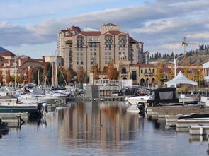 《心动小镇》奥杜安海鸥:探寻神秘海鸥的藏身之地 《心动小镇》奥杜安海鸥:探寻神秘海鸥的藏身之地