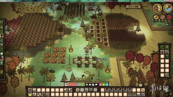 《饥荒》联机版独家攻略:豪华基地布局与建家秘籍大揭秘 《饥荒》联机版独家攻略:豪华基地布局与建家秘籍大揭秘