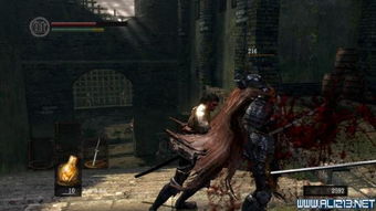 《黑魂3》盾反技巧深度解析:优劣对比与动图教学精粹 《黑魂3》盾反技巧深度解析:优劣对比与动图教学精粹