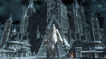 《黑暗之魂3》双鳄鱼与骑士挑战攻略:高效打法解析新技巧 《黑暗之魂3》双鳄鱼与骑士挑战攻略:高效打法解析新技巧