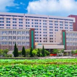 《黑桐谷歌深度解析》：《黑暗之魂3》攻略精华全流程揭秘攻略