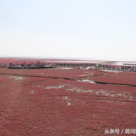 《三角洲行动》大红刷点攻略:揭秘全新刷新位置技巧 《三角洲行动》大红刷点攻略:揭秘全新刷新位置技巧