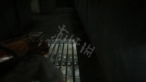 《最后生还者》火萤挂坠位置全解攻略