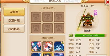 牧场甲兽高效养殖攻略,揭秘养殖技巧与价值提升 牧场甲兽高效养殖攻略,揭秘养殖技巧与价值提升