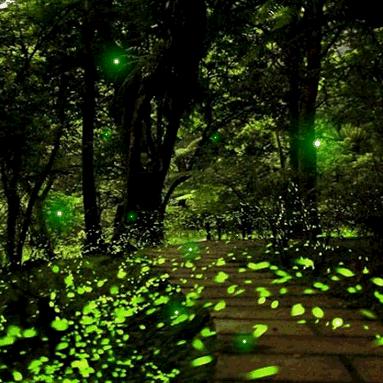 《王国之心3》全星座拍照秘籍，星座分布速查指南