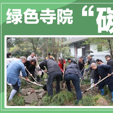 快速掌握！祈福古树建造攻略，新手必学新技巧