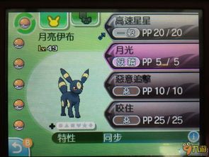 《口袋妖怪日月》攻略全收录：深度解析全收服技巧揭秘