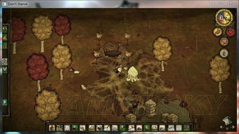 《饥荒洞穴生存技巧》深度解析，揭秘洞穴探险新攻略