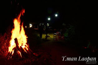 篝火秘技揭秘:森林之子野外生存新价值 篝火秘技揭秘:森林之子野外生存新价值