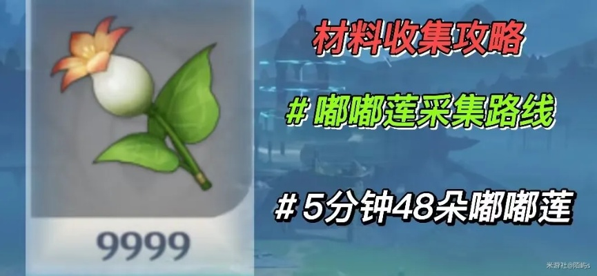 嘟嘟莲攻略：高效收集路线全解析，解锁新玩法！