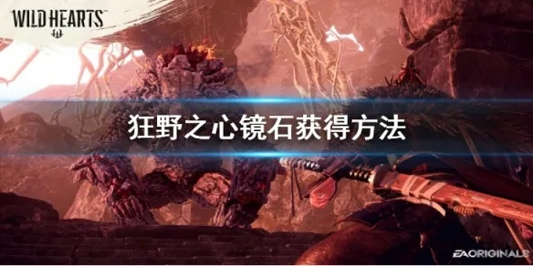 狂野之心芯石获取攻略，高效秘籍解锁新境界