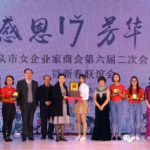 《航海日记2》宝藏盘点：揭秘独家商会商店珍品攻略