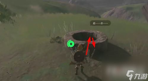 《塞尔达传说》泡泡拉高地鸟望台攻略:快速开塔秘境! 《塞尔达传说》泡泡拉高地鸟望台攻略:快速开塔秘境!