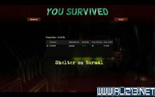 《流浪》攻略全解析：深度揭秘全流程实况通关秘籍