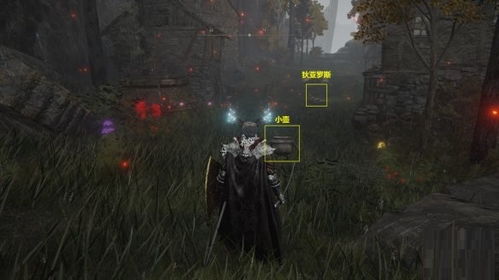 艾尔登法环全肢体动作获取攻略，深度解析新技巧揭秘