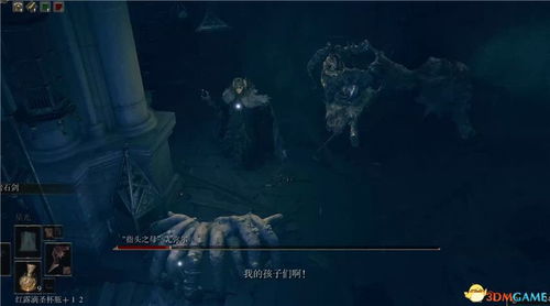 《艾尔登法环》DLC送葬者解锁攻略：揭秘见弃空洞者新途径