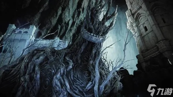 《艾尔登法环》DLC修女空洞者攻略解析：揭秘见弃者新玩法深度解析