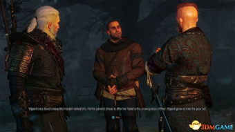 《巫师3》探秘:佩罗格塔罗格符文石图纸新藏匿地 《巫师3》探秘:佩罗格塔罗格符文石图纸新藏匿地