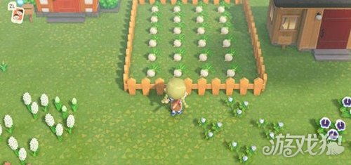 《动物森友会》蘑菇季家具DIY秘籍：高概率蘑菇配方及素材全解析