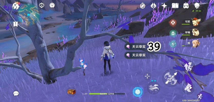 《原神》雷电将军突破必备:高效天云草实寻宝攻略 《原神》雷电将军突破必备:高效天云草实寻宝攻略