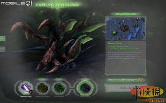 星际争霸虫族对决：揭秘真实虫子生存奥秘