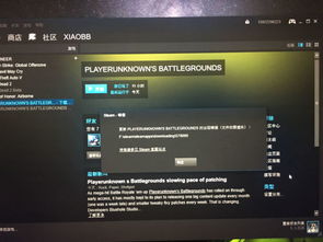 《绝地求生》音效调优秘籍:高效提升脚步声与枪声音量技巧 《绝地求生》音效调优秘籍:高效提升脚步声与枪声音量技巧