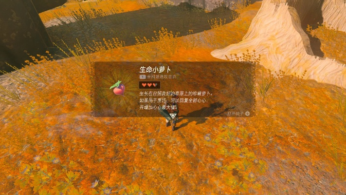 《塞尔达传说》生命小萝卜隐藏位置大揭秘！