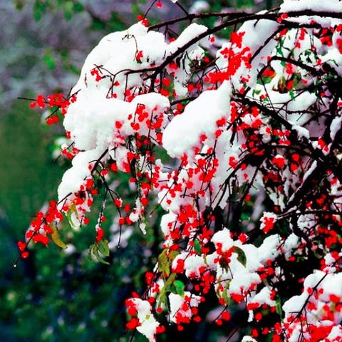 《无主之地4》CEO揭秘：开放世界设计背后的秘密！