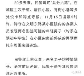 杜娃娃真的是版本弃子？2025年最新实战套路让她重回T0辅助梯队！