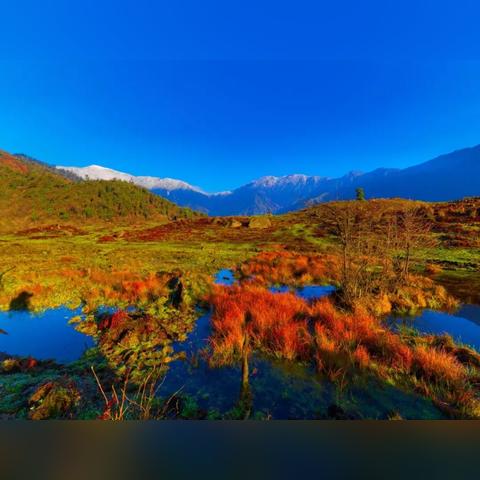 《失忆》游戏植被迷雾升级:前后画面震撼对比! 《失忆》游戏植被迷雾升级:前后画面震撼对比!