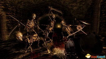 《黑暗之魂》揭秘：挑战你的预期，体验真实黑暗之旅