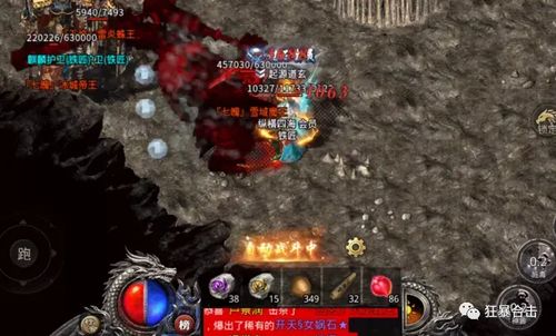 荒野历战王冻峰龙攻略：解锁全新挑战技巧