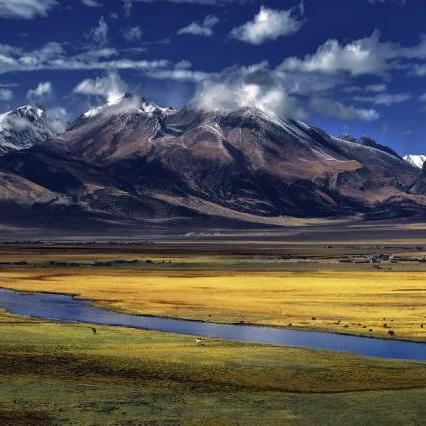 《巅峰对决：揭秘两界之巅的神秘较量》