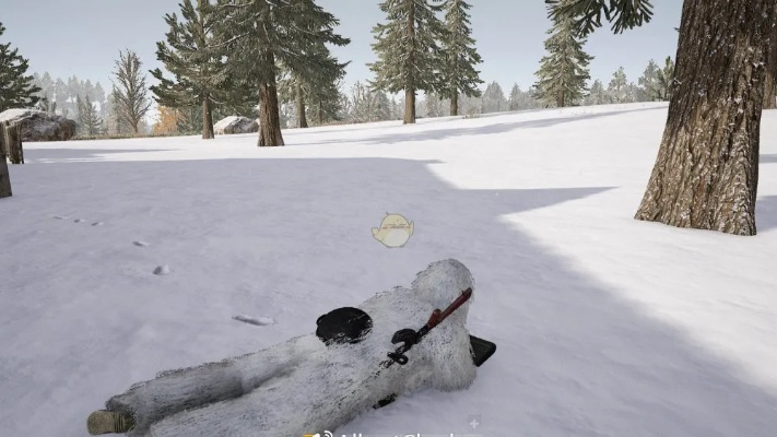 雪地绝地求生:揭秘连狙与自动步枪新选择 雪地绝地求生:揭秘连狙与自动步枪新选择